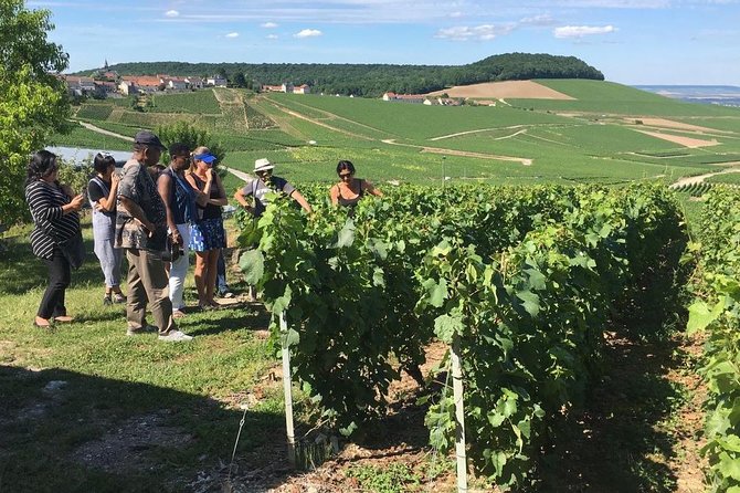 From Paris Full Day Private Tour to the Champagne Region - Key Points