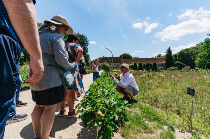 From Paris: Loire Valley Castles Day Trip With Wine Tasting - Recommendations and Considerations