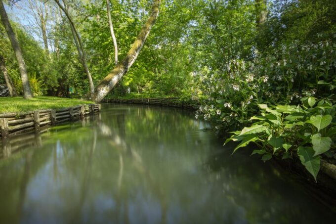 From Paris: Monet Garden & Giverny Bike Tour and Picnic Stop - Picnic Stop and Market Visit