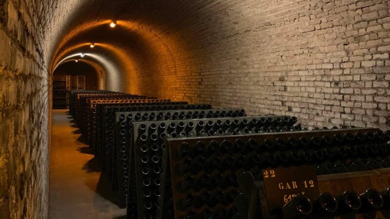 From Paris: Not Your Average Champagne Tour - Inclusions