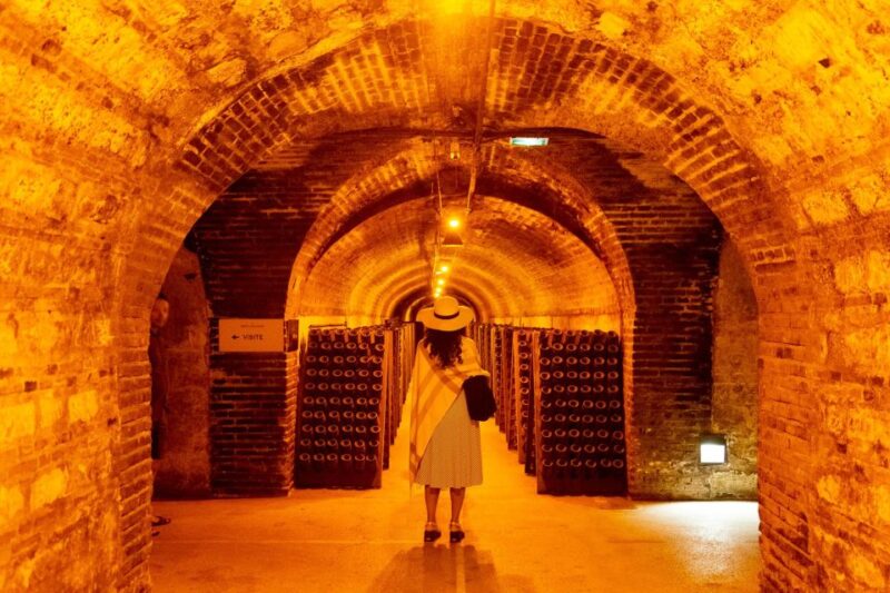 From Paris: Prestige Champagne Tour and Tastings - Boutique Champagne House Discovery