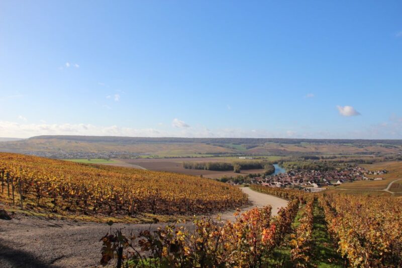 From Paris: Prestige Champagne Tour and Tastings - Champagne Making Process Insights