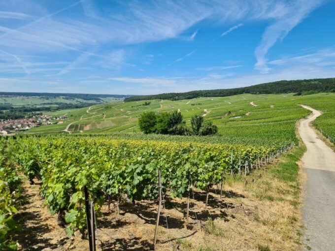 From Paris: Prestige Champagne Tour and Tastings - Transportation and Accessibility Details