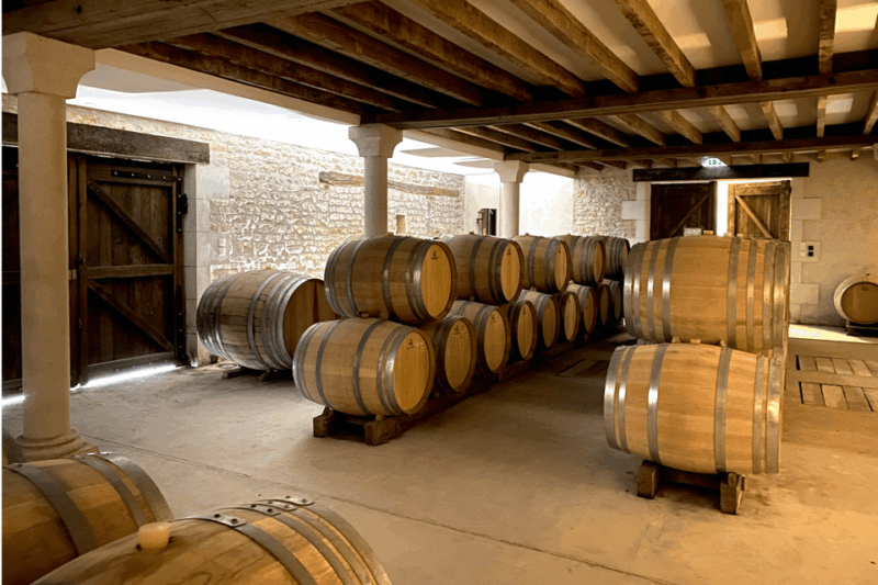 From Paris: Private Sancerre Wine Tour W 10 Tastings & Lunch - Inclusions