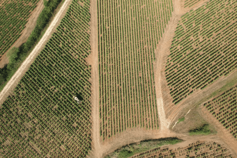 From Paris: Private Sancerre Wine Tour W 10 Tastings & Lunch - Booking Information