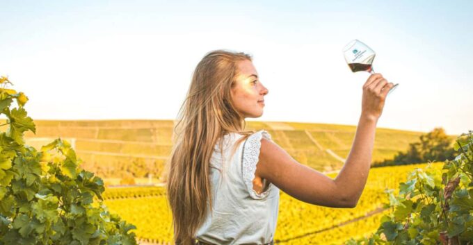 From Paris: Private Sancerre Wine Tour W 10 Tastings & Lunch - Sancerre Wine Tasting