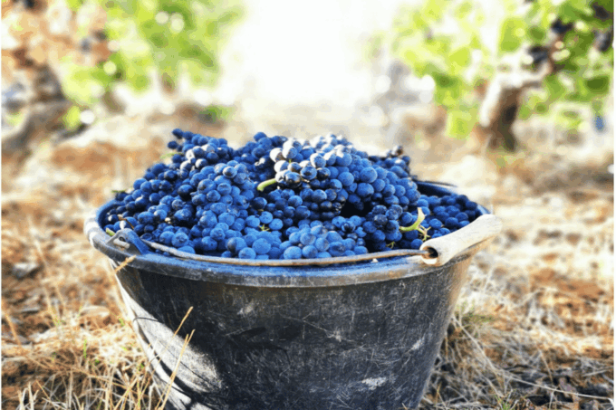 From Paris: Private Sancerre Wine Tour W 10 Tastings & Lunch - Traditional French Lunch