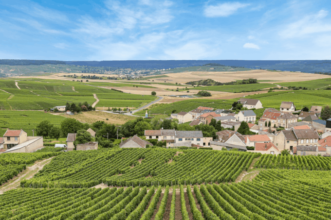 From Paris: Private Sancerre Wine Tour W 10 Tastings & Lunch - Frequently Asked Questions
