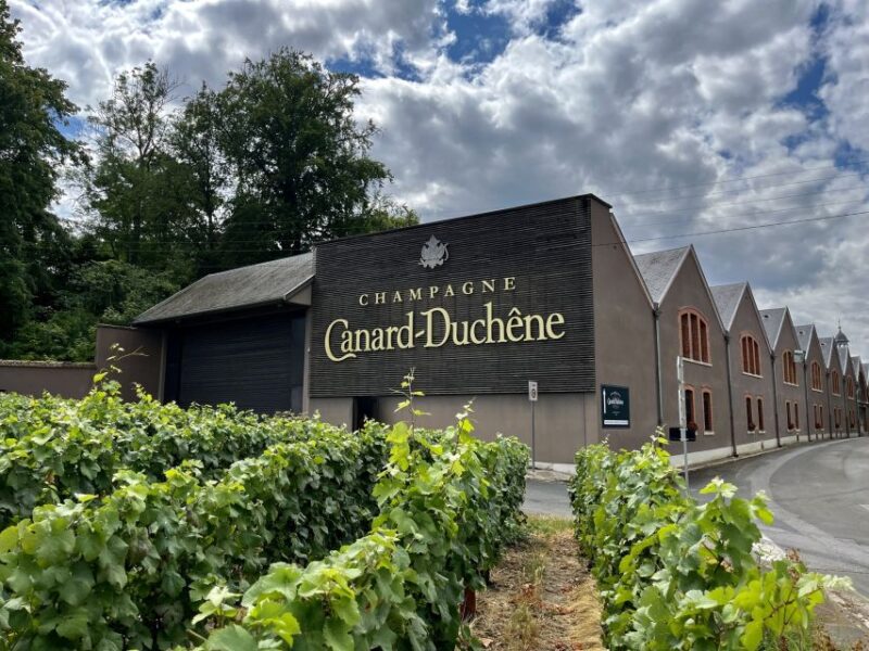 From Paris: Reims and Champagne Tasting Full-Day Tour - Champagne House Tours and Tastings