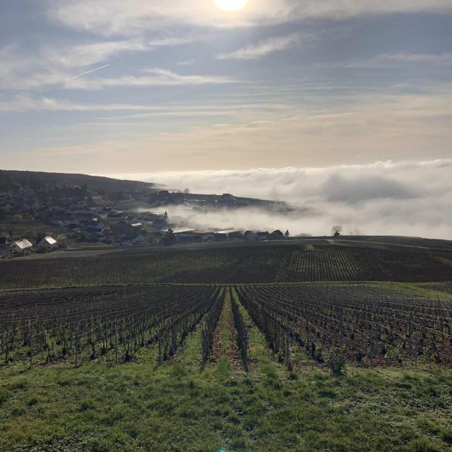 From Paris: Reims and Champagne Tasting Full-Day Tour - 3-Course Lunch