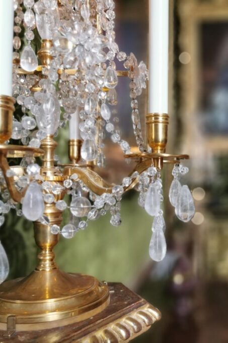 From Paris: Versailles Palace Private Half-Day Guided Tour - Transportation