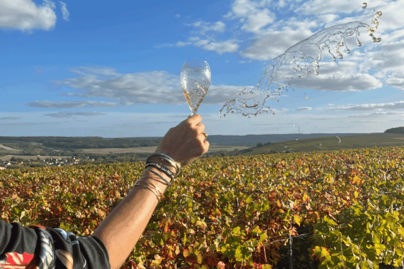 From Paris: Wine Day Trip to SANCERRE W 10 Tastings & Lunch - Pickup and Drop-off