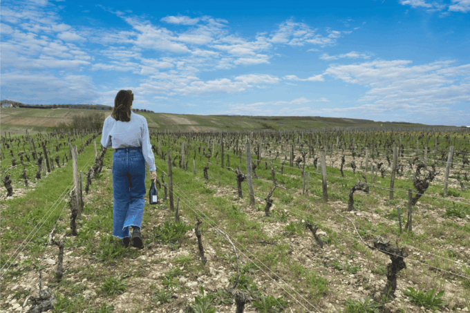 From Paris: Wine Day Trip to SANCERRE W 10 Tastings & Lunch - Traditional French Lunch