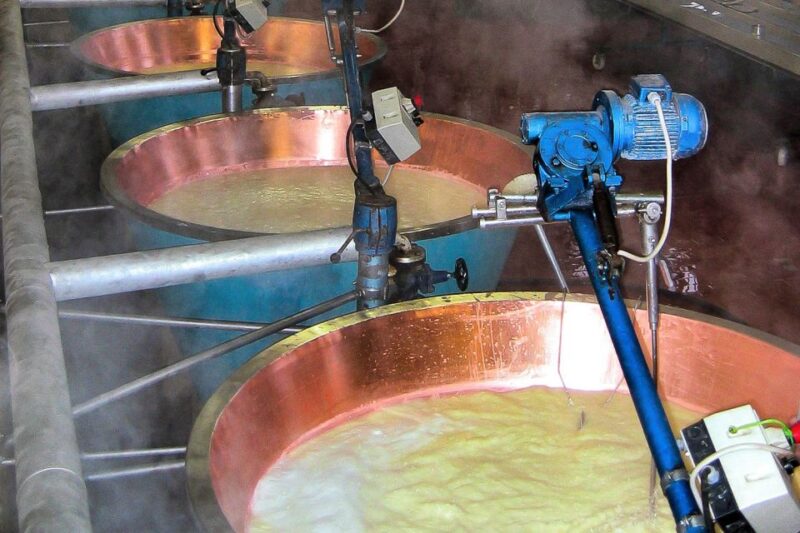 From Parma: Parmesan, Parma Ham & Balsamic Vinegar Tour - Experience Highlights