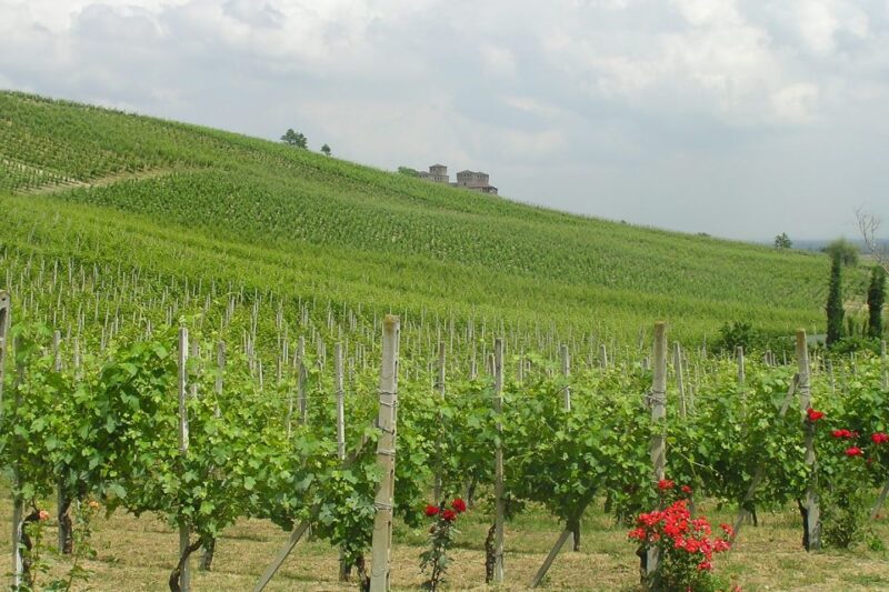 From Parma: Parmesan, Parma Ham & Balsamic Vinegar Tour - Parma Ham Factory Tour