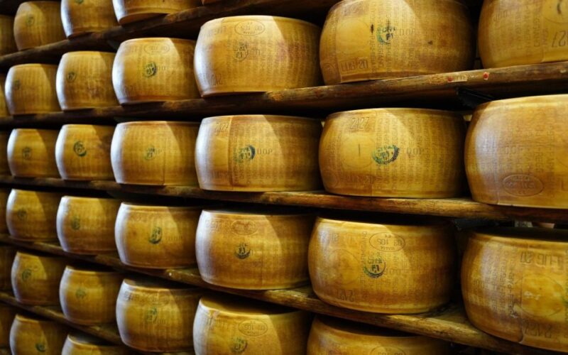 From Parma: Parmigiano and Parma Ham Guided Food Tour - Tasting and Pairing
