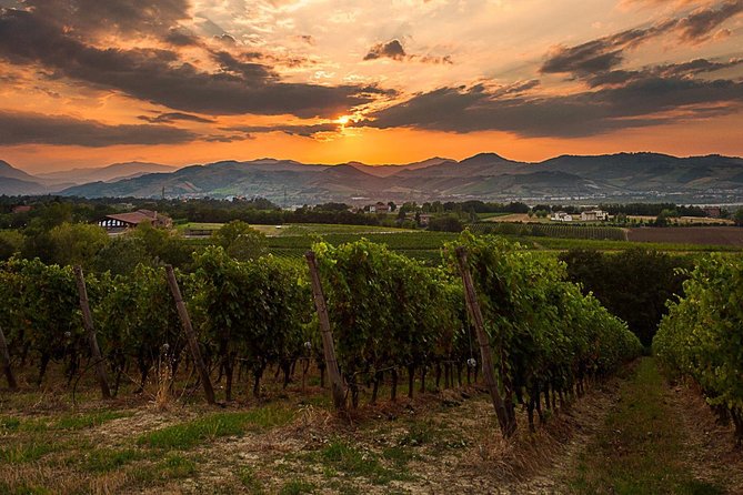 From Parma: Parmigiano,Prosciutto and Winery Tour and Tasting - Booking and Cancellation
