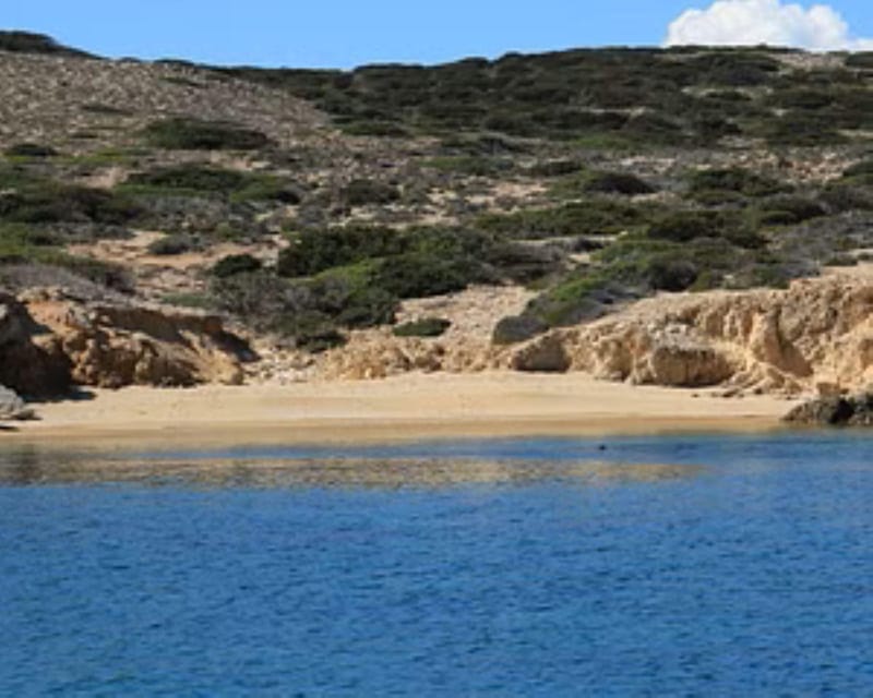 From Paros : Antiparos and Despotiko Full Day Cruise - Experienced Crew and Guided Exploration