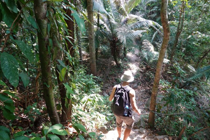 From Pattaya: Private Rayong Adventure Hike and Kayak Trip - Hiking Experience