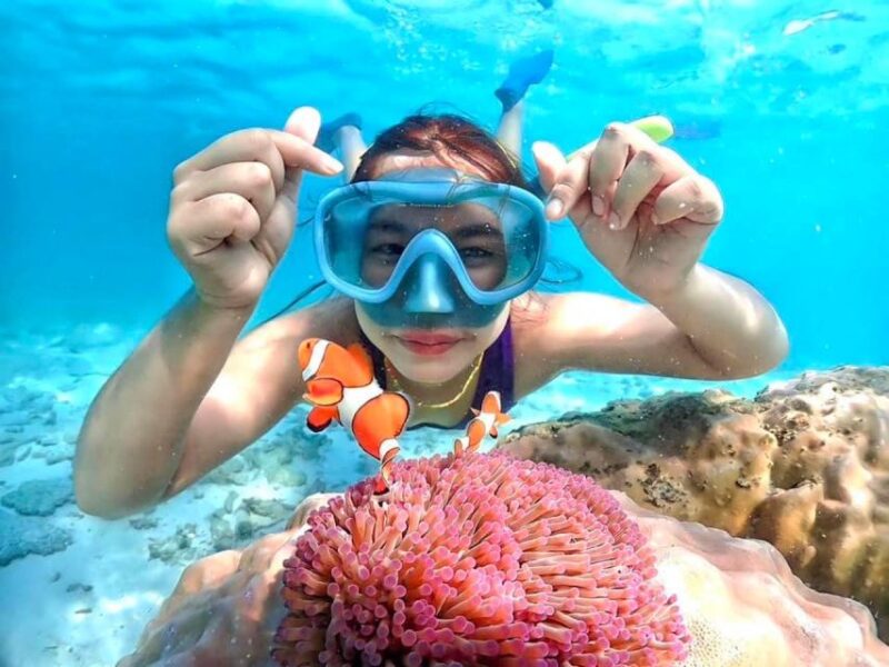 From Pattaya: Private Speedboat to Nemo Island With Snorkel - Inclusions