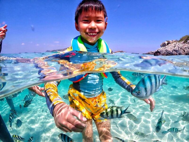 From Pattaya: Private Speedboat to Nemo Island With Snorkel - Itinerary