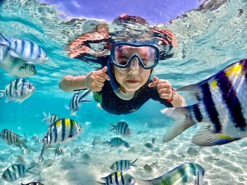 From Pattaya: Private Speedboat to Nemo Island With Snorkel - Highlights