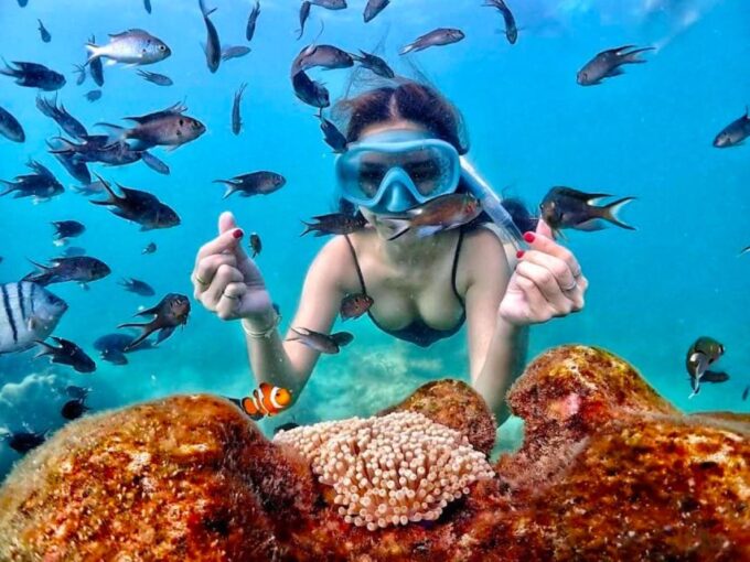 From Pattaya: Private Speedboat to Nemo Island With Snorkel - Customer Reviews