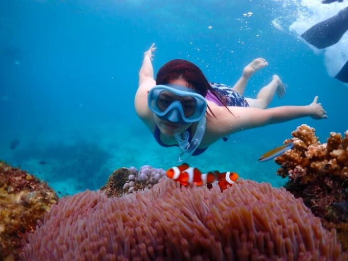 From Pattaya: Private Speedboat to Nemo Island With Snorkel - Cancellation Policy