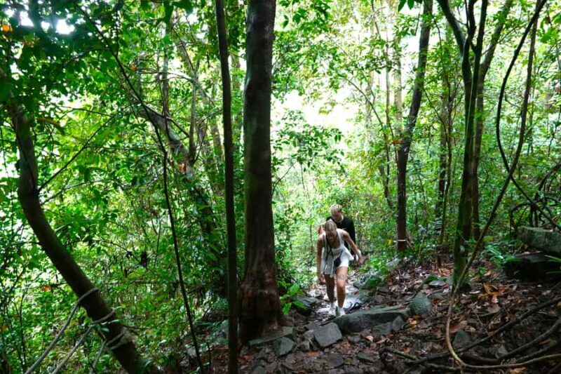 From Pattaya: Rayong Adventure Hike and Kayak Day Trip - Detailed Itinerary Breakdown
