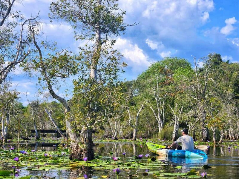 From Pattaya: Rayong Adventure Hike and Kayak Day Trip - Authenticity and Review Highlights