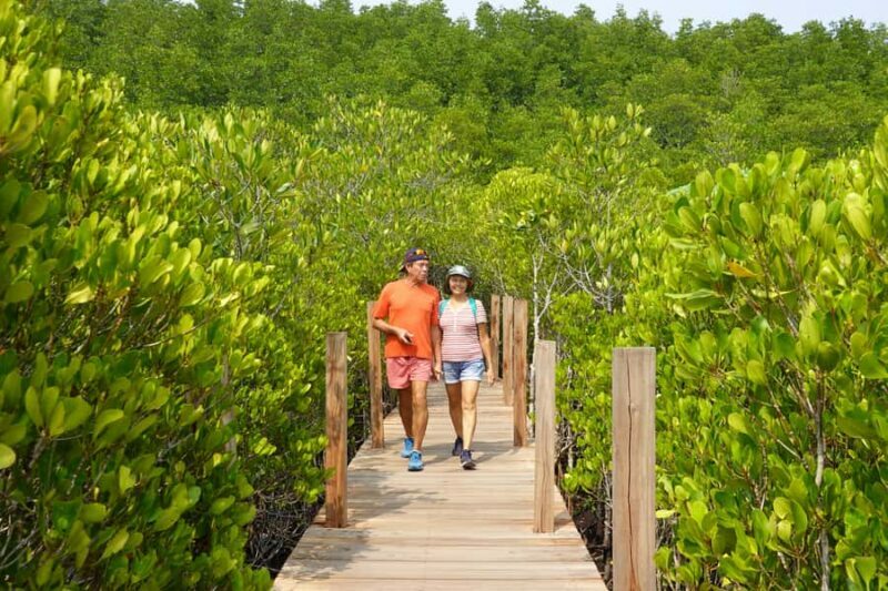 From Pattaya: Rayong Adventure Hike and Kayak Day Trip - Who Will Love This Tour?