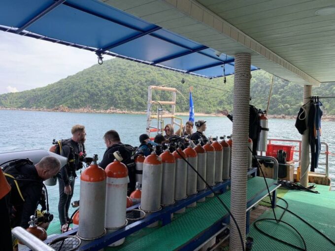 From Pattaya: Snorkeling or Beginner Scuba Diving Tour - Vibrant Marine Life