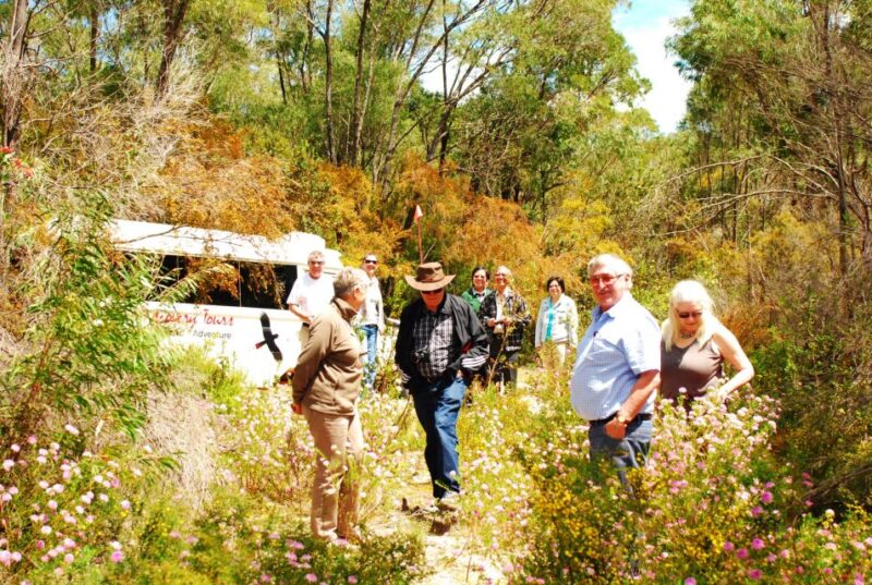 From Pemberton: Half-Day Beach and Forest Eco Adventure - Itinerary and Experience