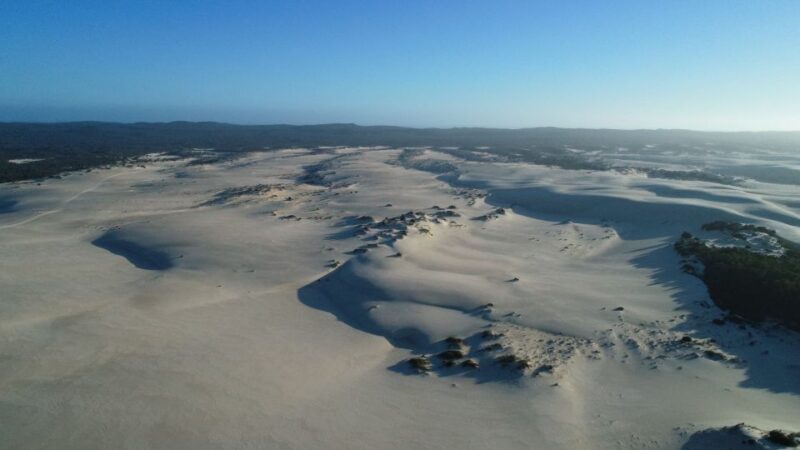 From Pemberton: Half-Day Beach and Forest Eco Adventure - Meeting Point and Requirements