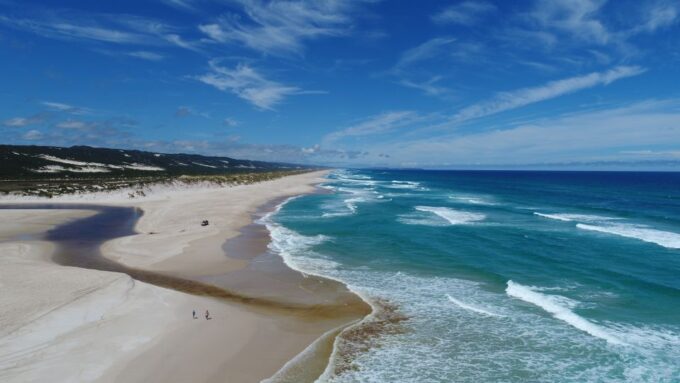 From Pemberton: Half-Day Beach and Forest Eco Adventure - Customer Feedback