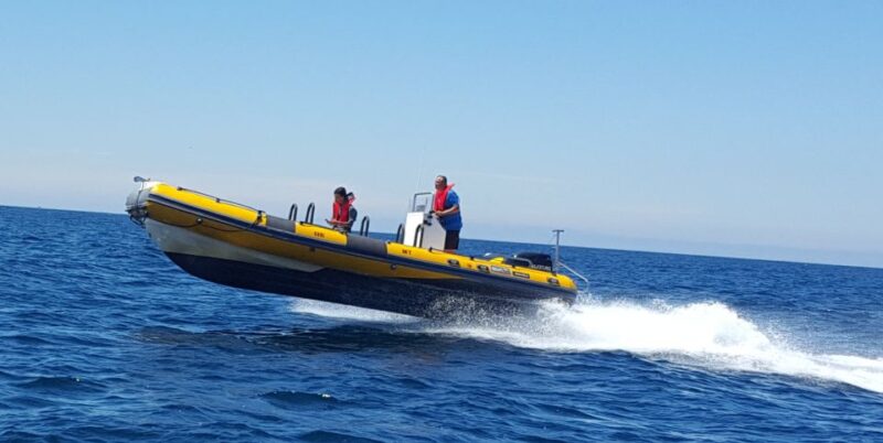 From Peniche: 1-Hour Cabo Carvoeiro Boat Tour - Stops for Photos and Admiring