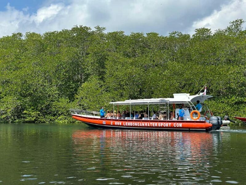 From Penida: Manta Snorkeling with Buffet Lunch and Kayaking - The Sum Up