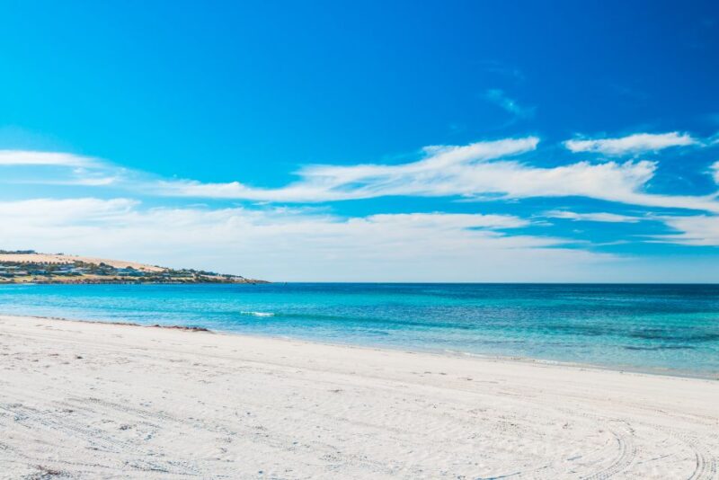 From Penneshaw: Kangaroo Island Shore Excursion Tasting Tour - Restrictions and Recommendations