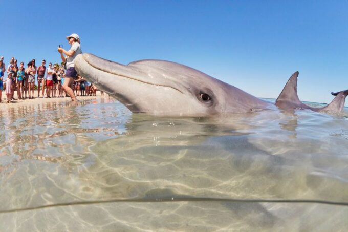 From Perth: 4 Day Outback & Coastal Tour With German Guide - Optional Bookings