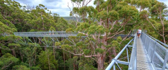 From Perth: Albany, Tree Top Walk & Wave Rock 3-Day Tour - Excluded Expenses