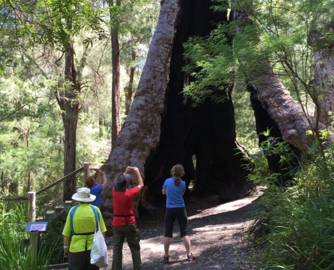 From Perth: Albany, Tree Top Walk & Wave Rock 3-Day Tour - Recommended Packing