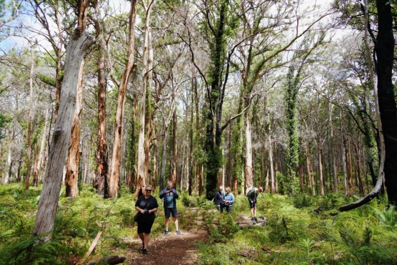 From Perth: Margaret River Region Impression Day Tour - Award-winning Wine Tasting