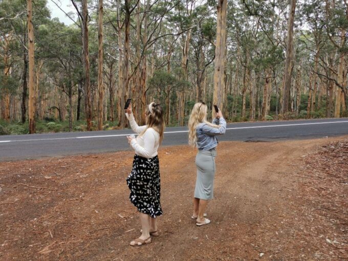 From Perth: Margaret River Region Impression Day Tour - Boranup Forest Sightseeing