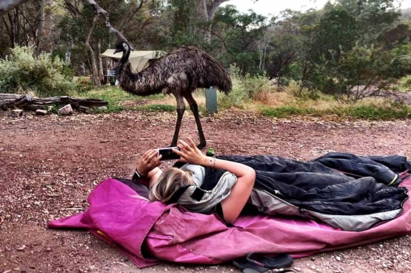 From Perth: Margaret River to Esperance 6-Day Tour - Final Words: Who Should Consider This Tour?