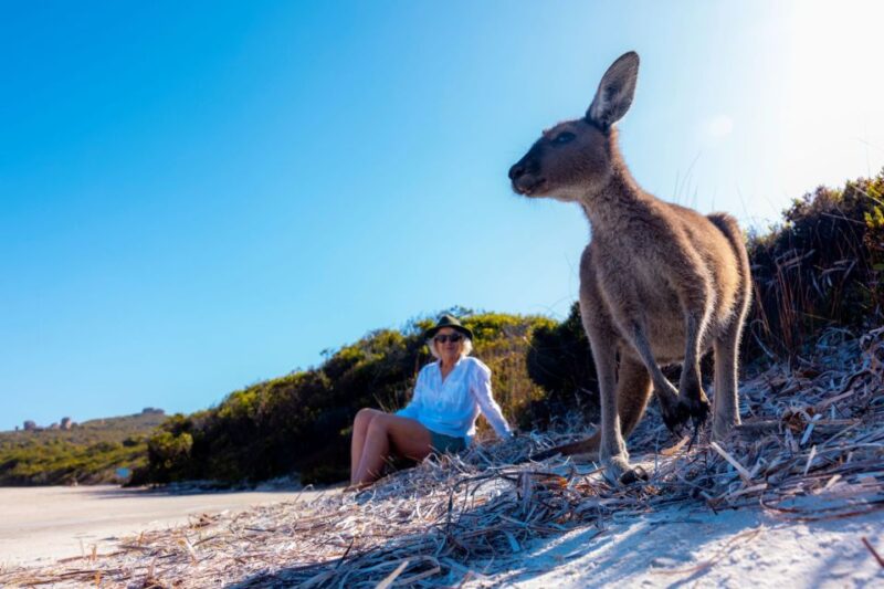 From Perth: Margaret River to Esperance 6-Day Tour - Pricing and Availability