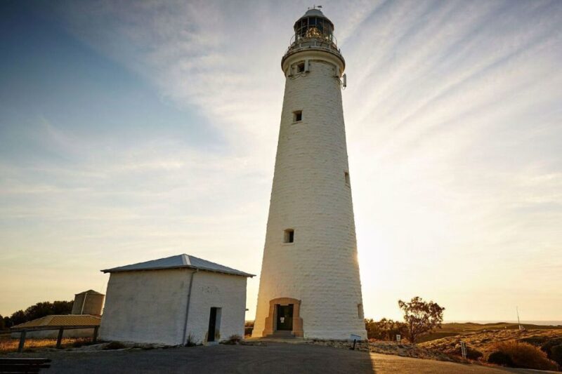 From Perth or Fremantle: Rottnest Island Ferry and Bus Tour - Key Points