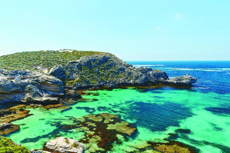 From Perth or Fremantle: Rottnest Island Seafood Cruise - Key Points