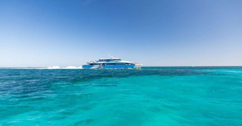 From Perth or Fremantle: Rottnest Island Seafood Cruise - Frequently Asked Questions