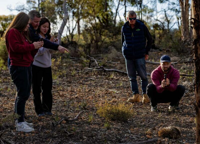 From Perth: Perth Wildlife Tour Under the Stars with Dinner - Frequently Asked Questions