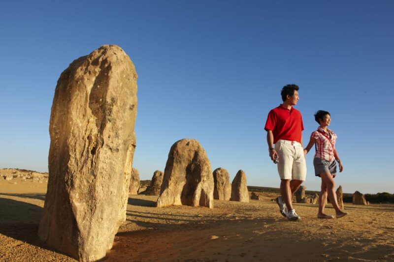 From Perth: Pinnacle Desert, Yanchep, & Swan Valley Day Tour - Key Points